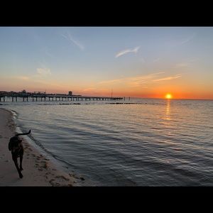 Meet your Posher, Ava